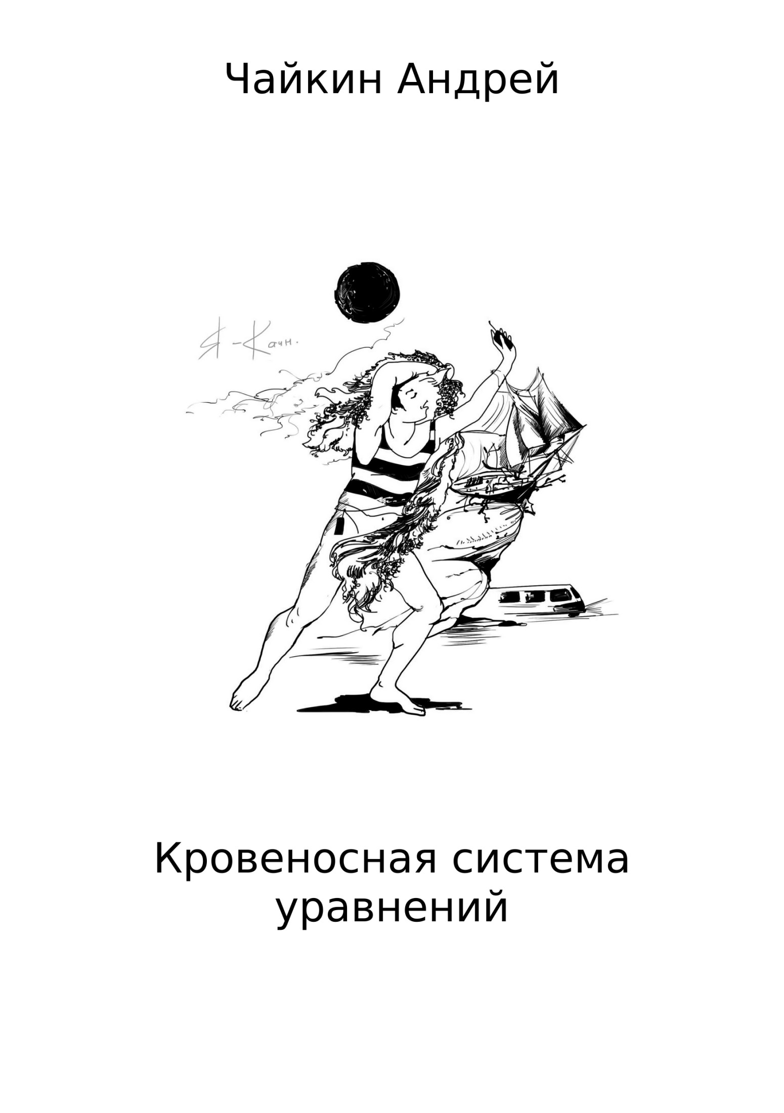 Кровеносная система уравнений - Андрей Владимирович Чайкин