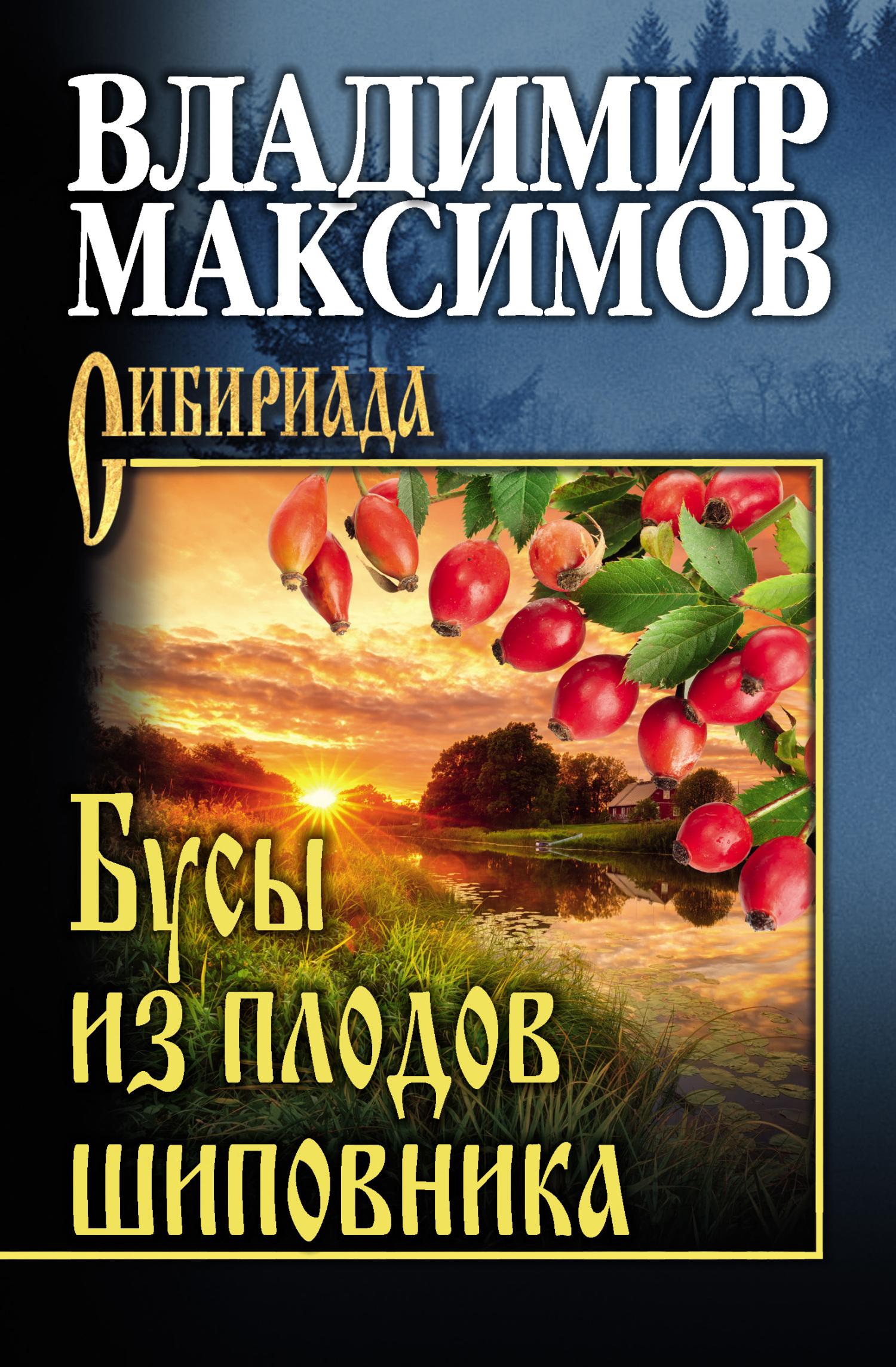 Бусы из плодов шиповника - Владимир Павлович Максимов