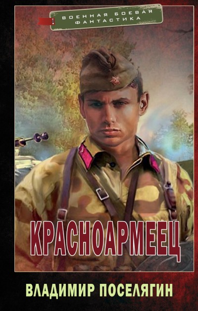 Красноармеец - Владимир Геннадьевич Поселягин