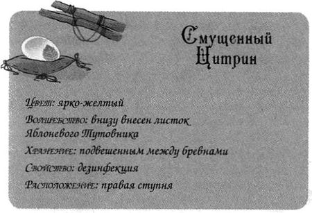 Джено и красное зеркало истины Джено и красное зеркало истины
