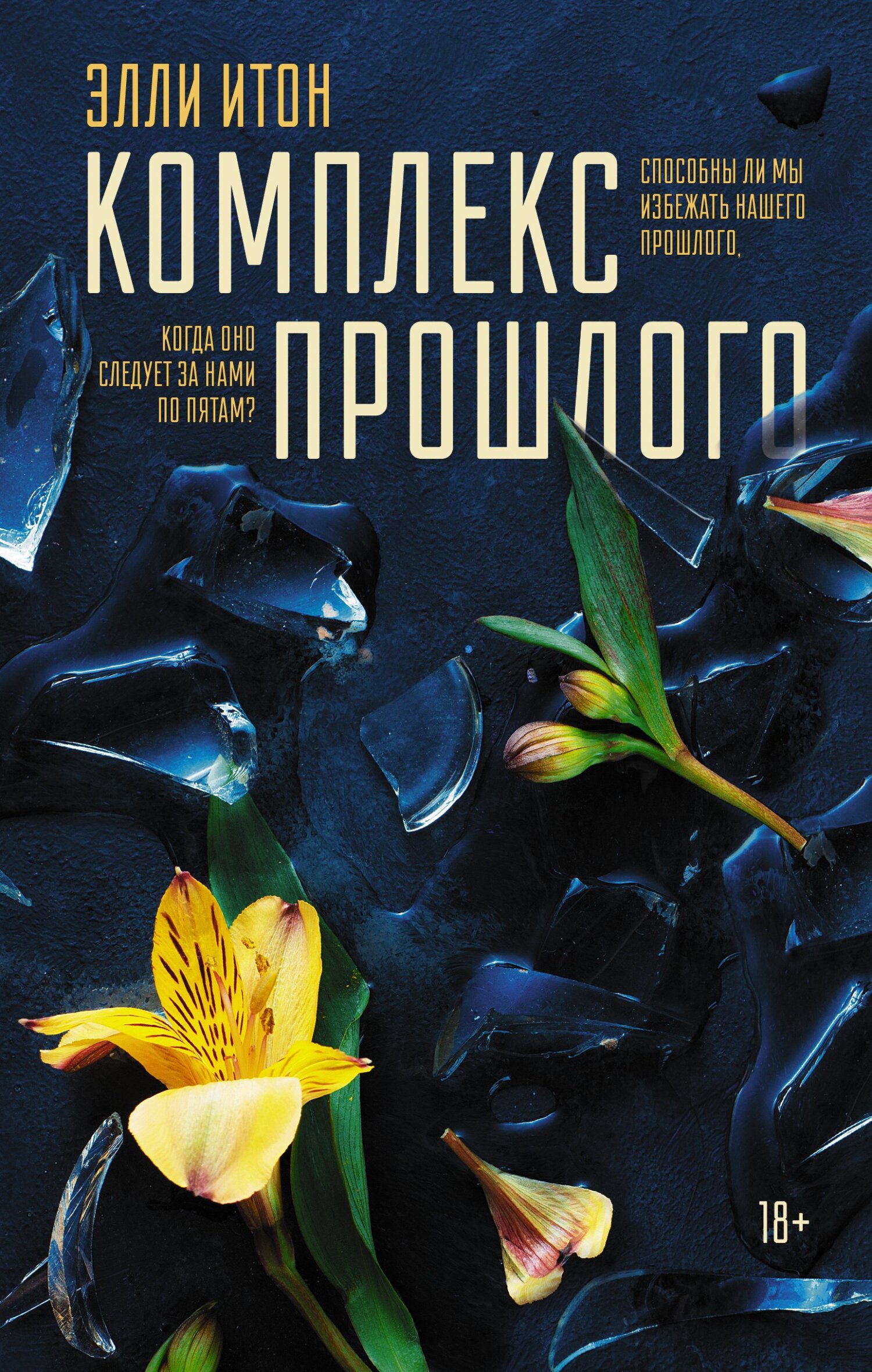 Комплекс прошлого - Элли Итон