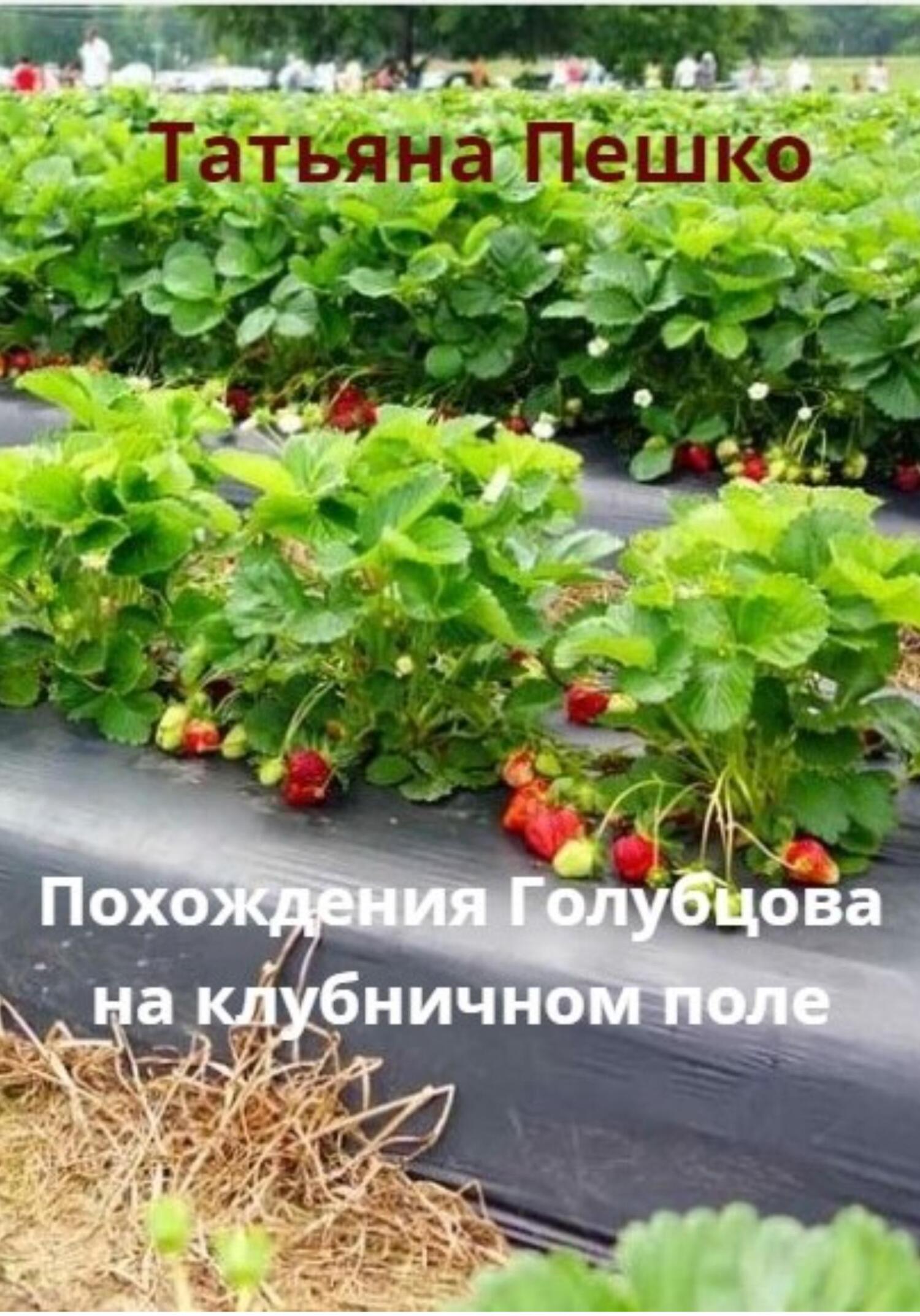 Похождения Голубцова на клубничном поле - Татьяна Пешко