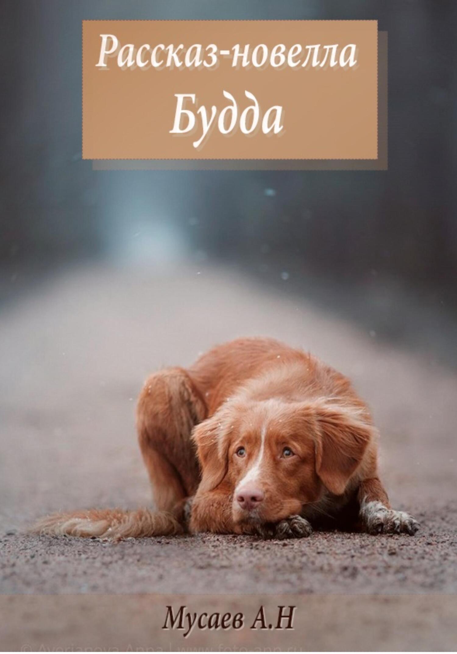 Будда - Артур Наилевич Мусаев