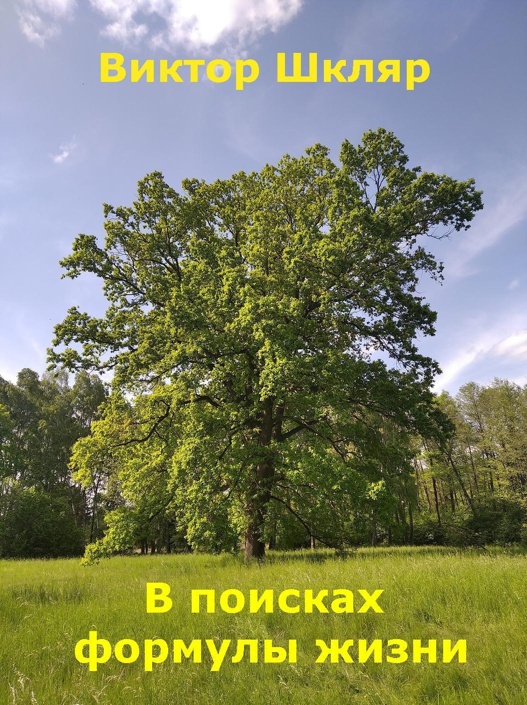 В поисках формулы жизни - Виктор Львович Шкляр