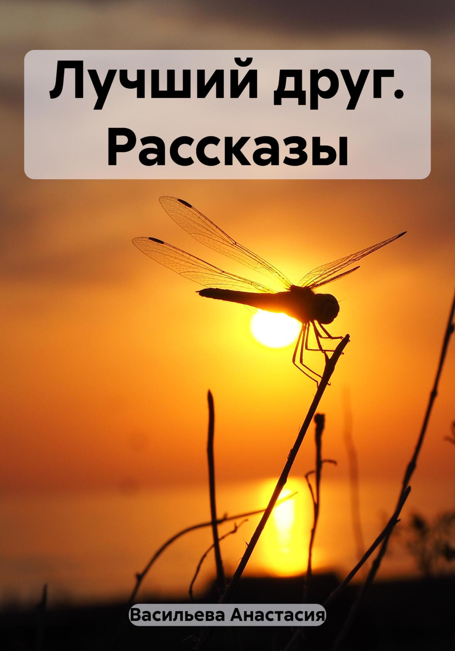 Лучший друг. Рассказы - Анастасия Викторовна Васильева