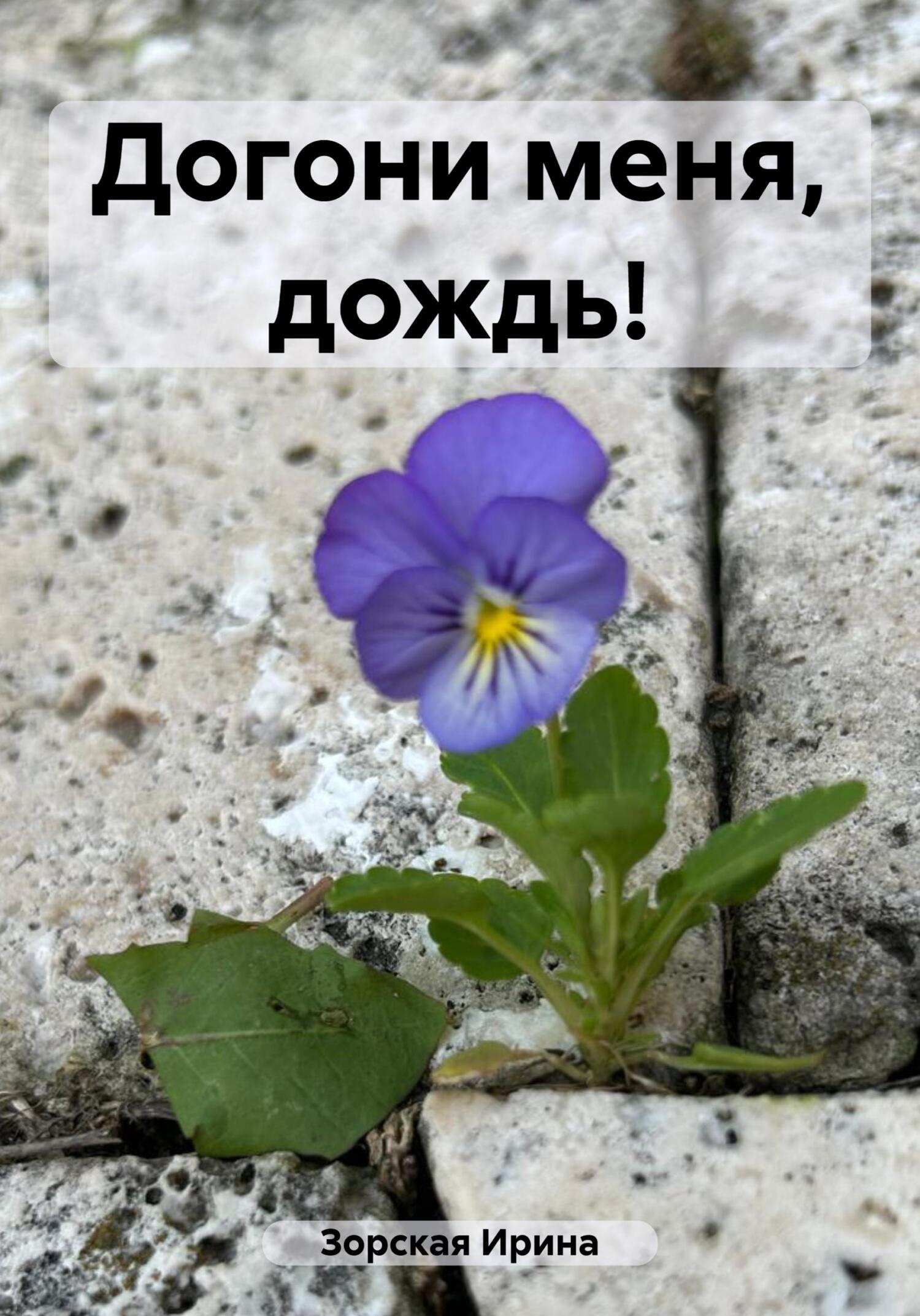 Догони меня, дождь! - Ирина Зорская