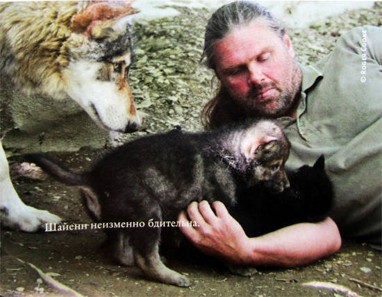 Свой среди волков Свой среди волков