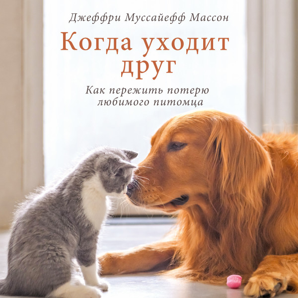 Когда уходит друг