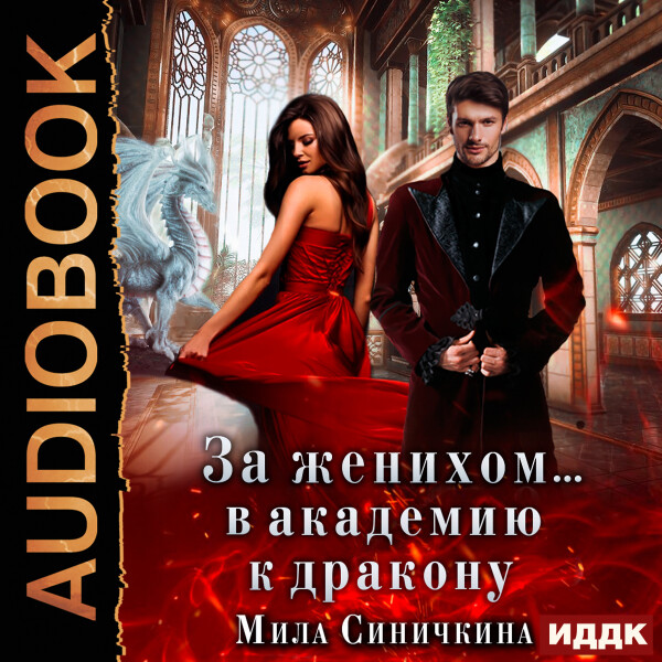 За женихом... В академию к дракону