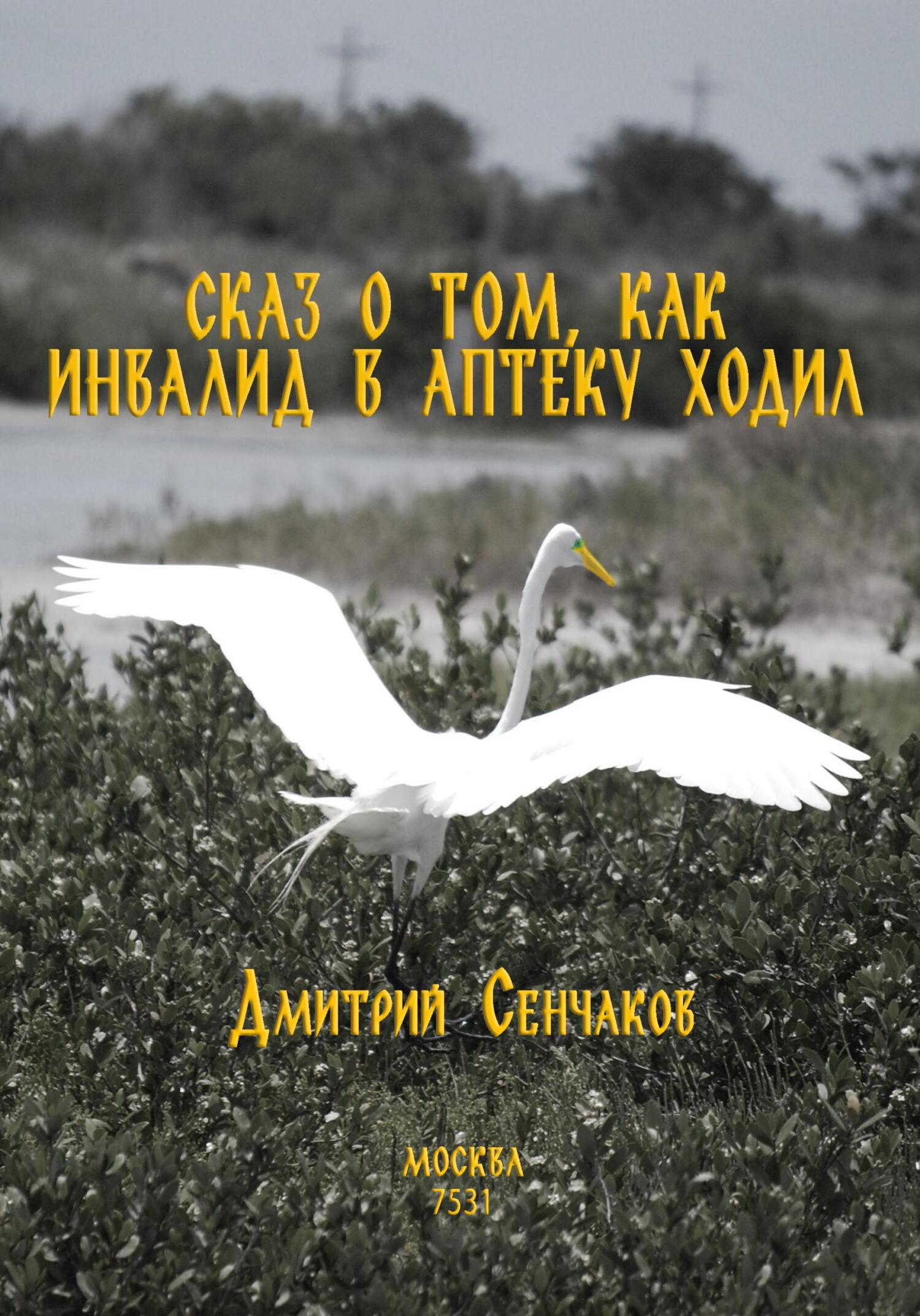 Сказ о том, как инвалид в аптеку ходил - Дмитрий Сенчаков
