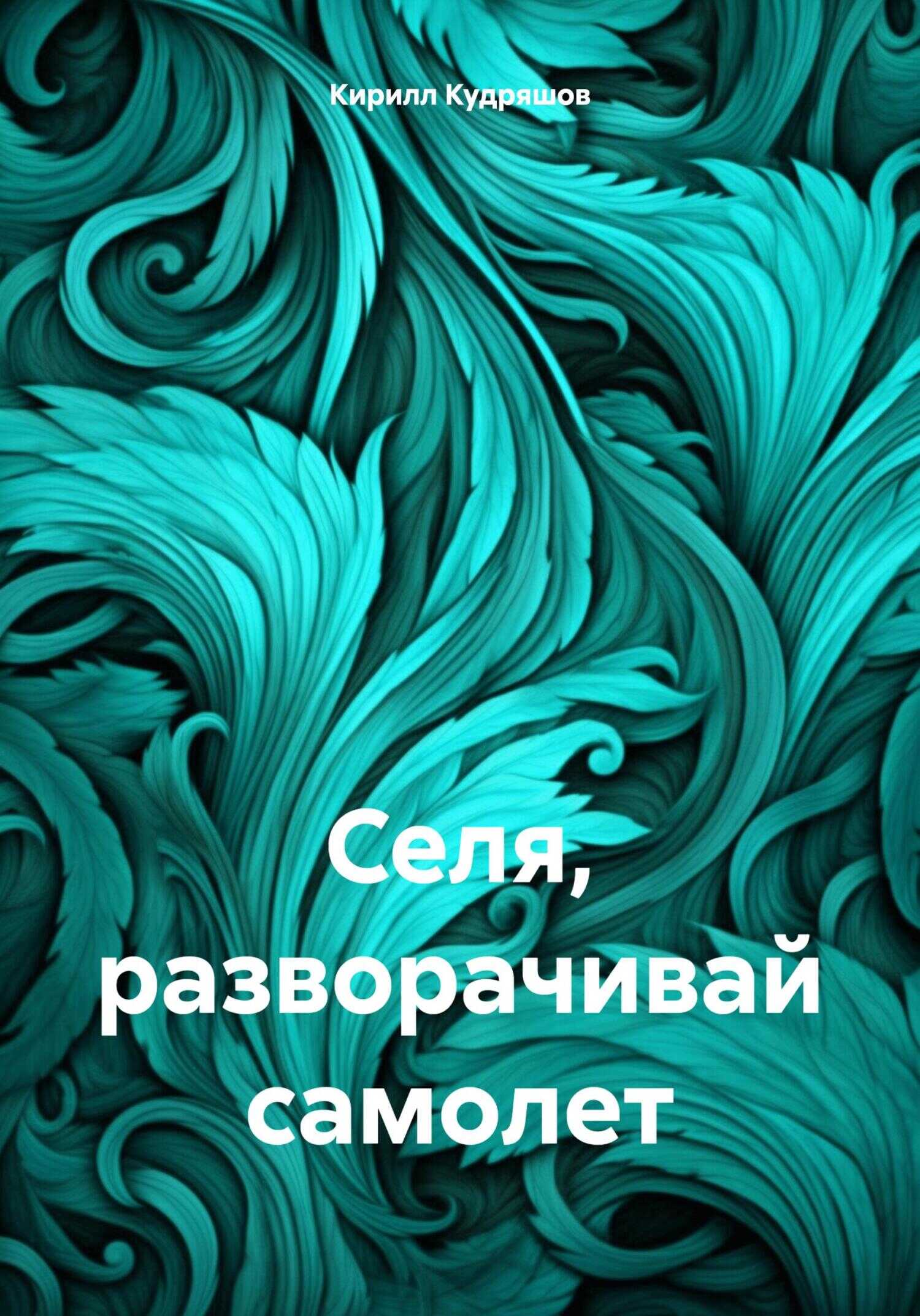 Селя, разворачивай самолет - Кирилл Васильевич Кудряшов