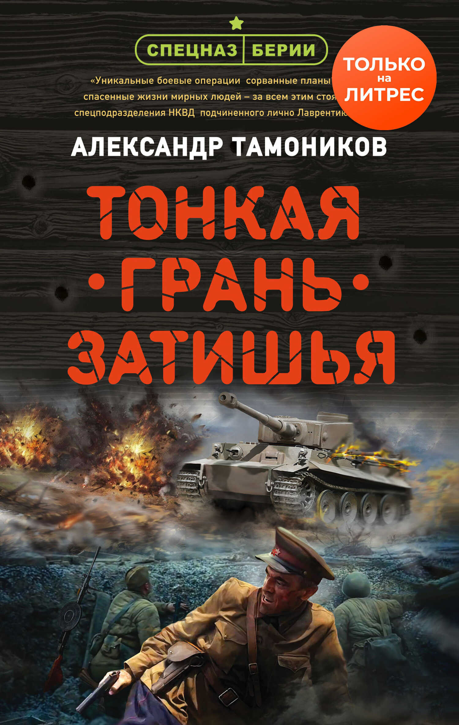 Тонкая грань затишья - Александр Александрович Тамоников