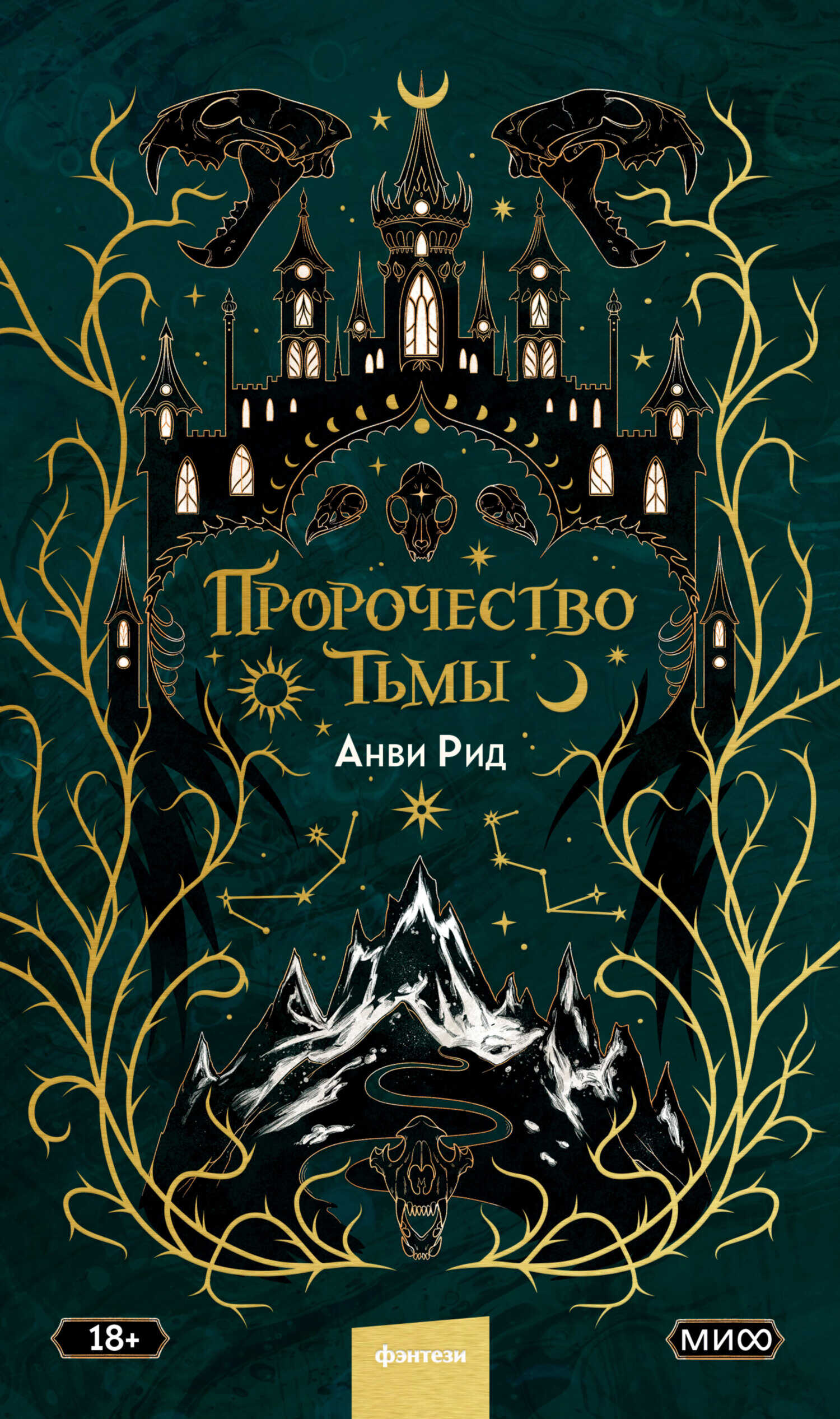 Пророчество тьмы - Анви Рид