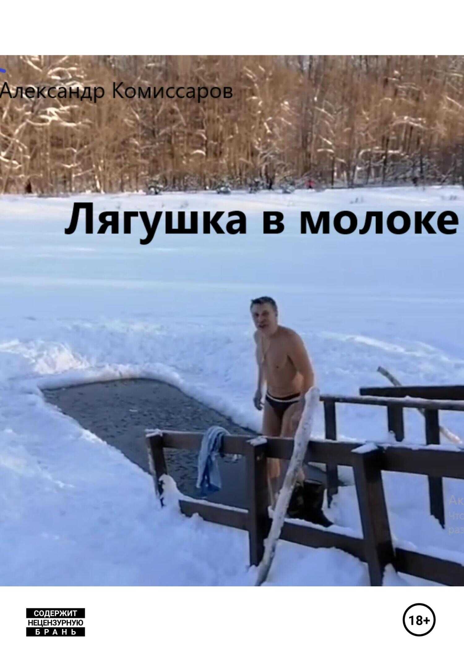 Лягушка в молоке - Александр Комиссаров