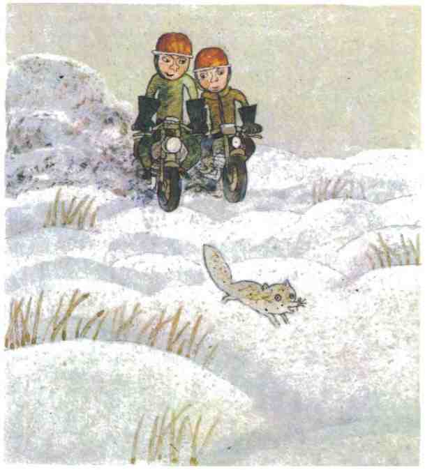 Недопёсок Недопёсок