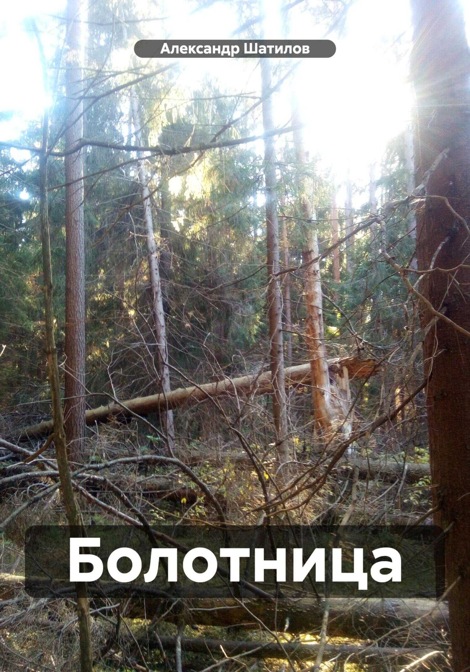 Болотница - Александр Шатилов