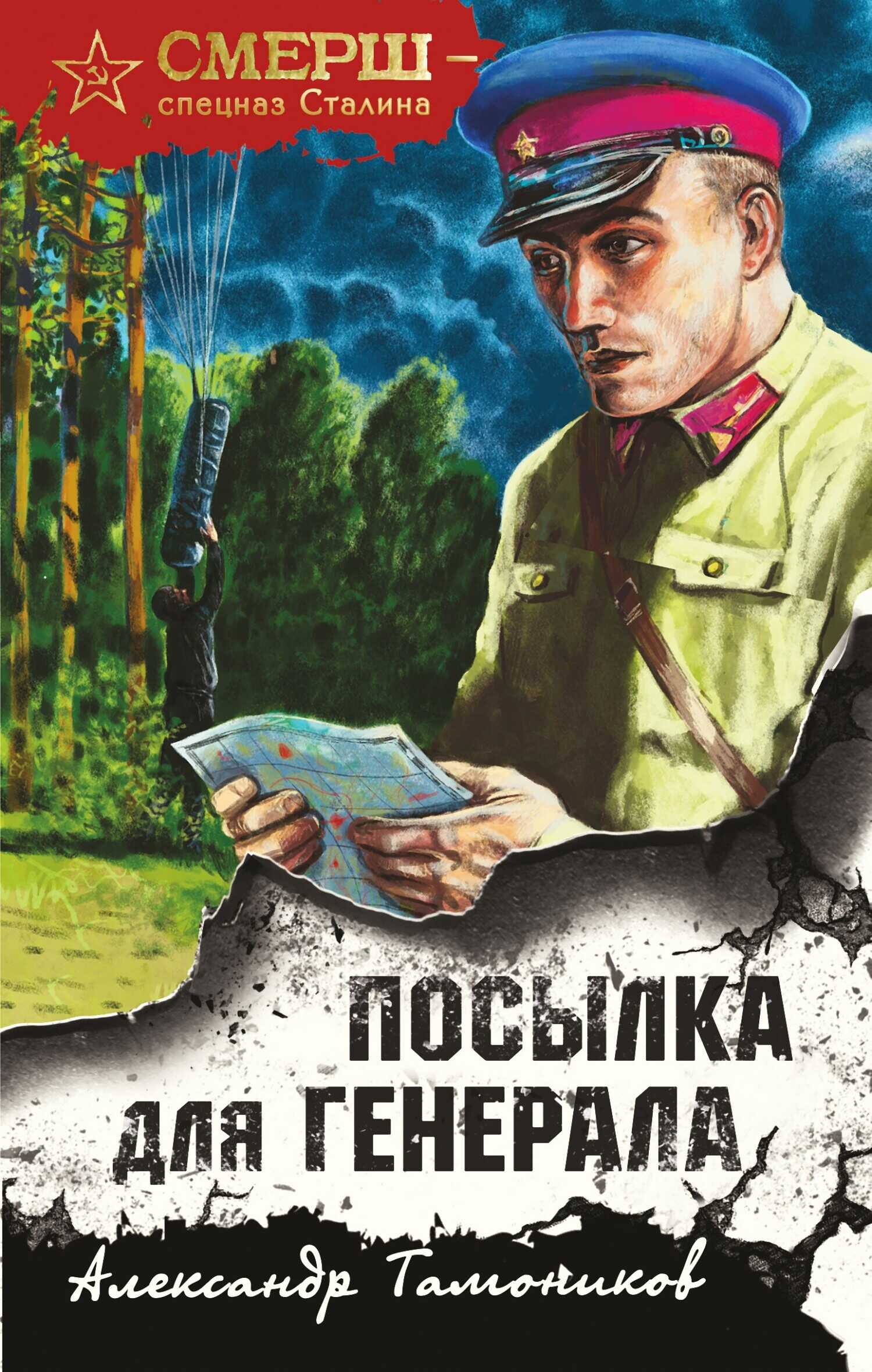 Посылка для генерала - Александр Александрович Тамоников