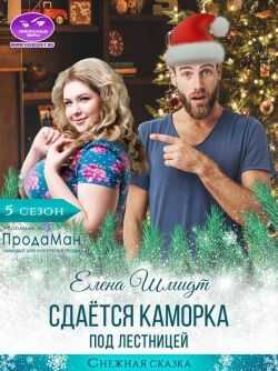 Сдаётся каморка под лестницей - Елена Шмидт