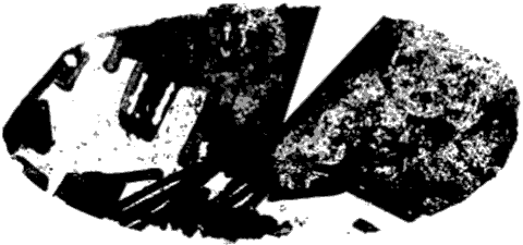 Князь механический Князь механический