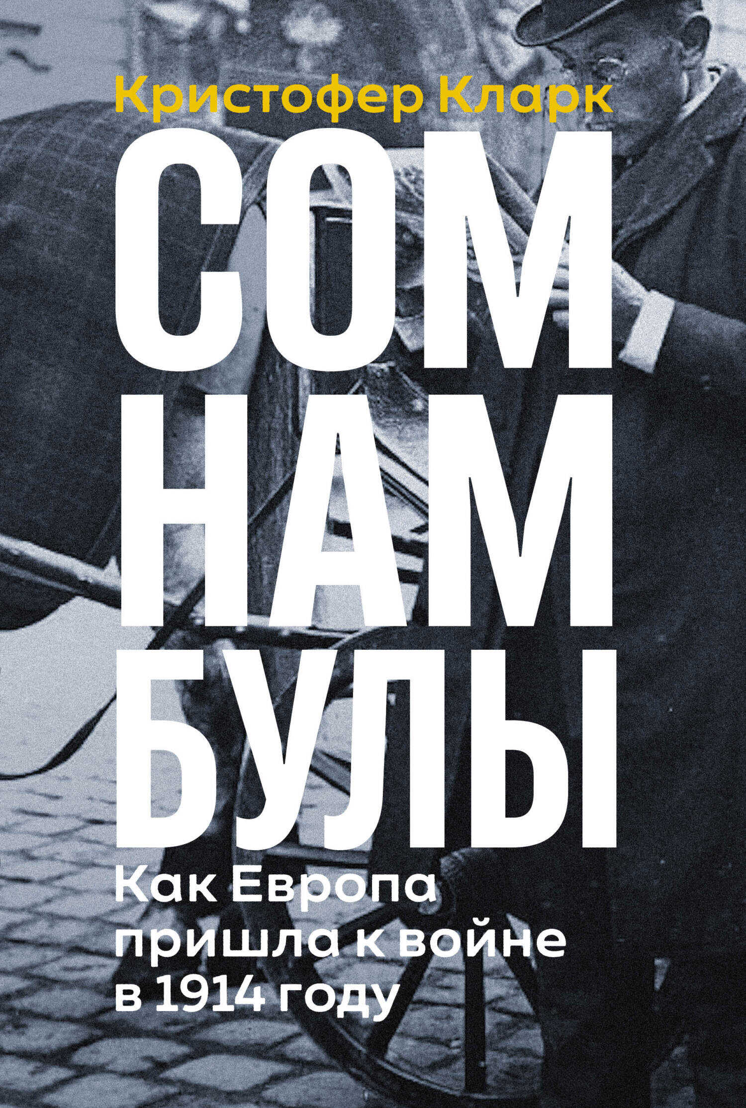 Сомнамбулы: Как Европа пришла к войне в 1914 году - Кристофер Кларк