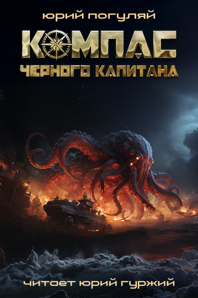 Погуляй Юрий – Компас черного капитана