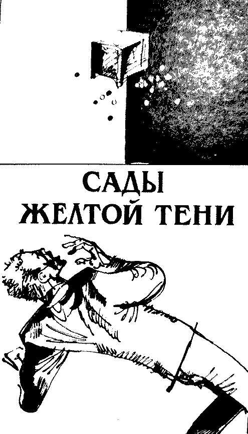 Сады Жёлтой тени - Анри Верн