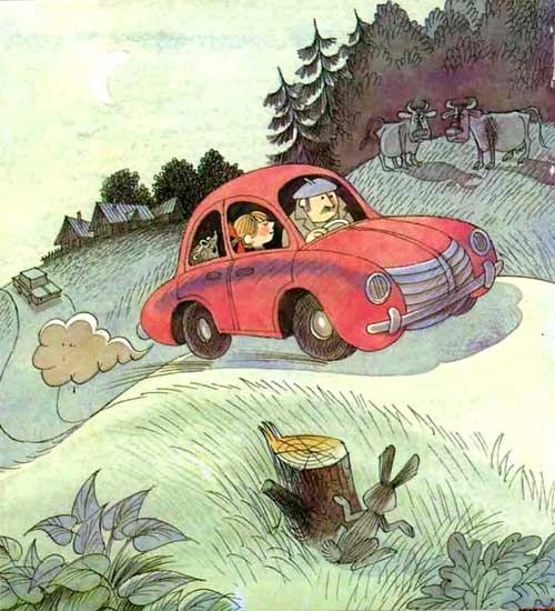 Вниз по волшебной реке. Меховой интернат Вниз по волшебной реке. Меховой интернат