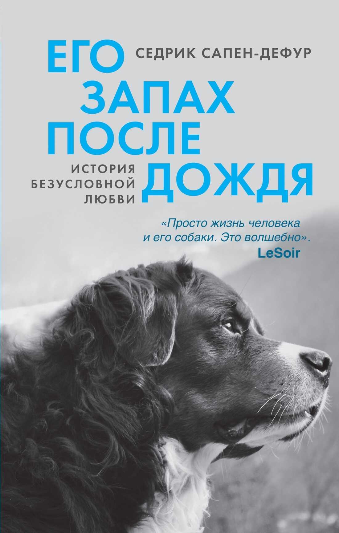 Его запах после дождя - Седрик Сапен-Дефур