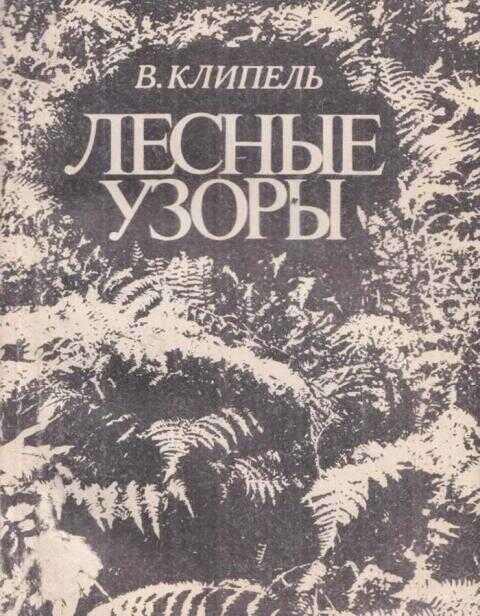 Лесные узоры - Владимир Иванович Клипель