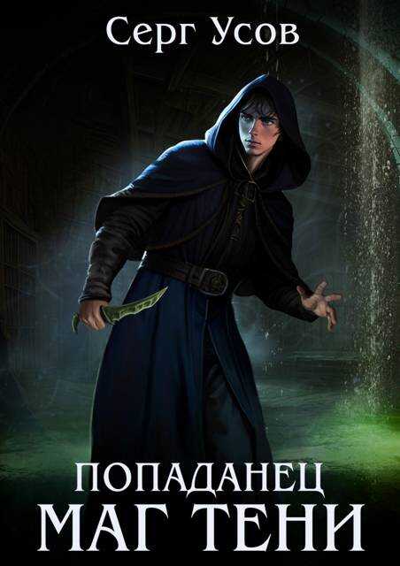 Попаданец. Маг Тени. Книга 10 - Серг Усов