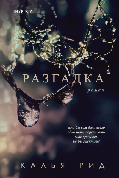Рид Калья – Разгадка