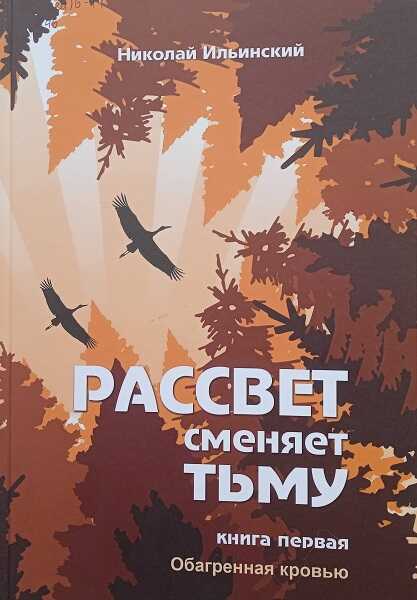 Рассвет сменяет тьму. Книга первая: Обагренная кровью - Николай Ильинский