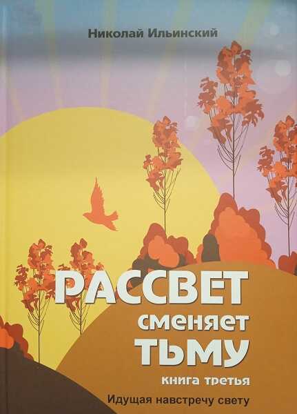 Идущая навстречу свету - Николай Ильинский