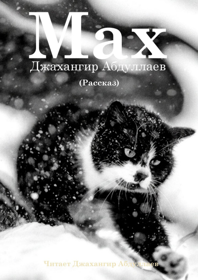 Абдуллаев Джахангир – Макс