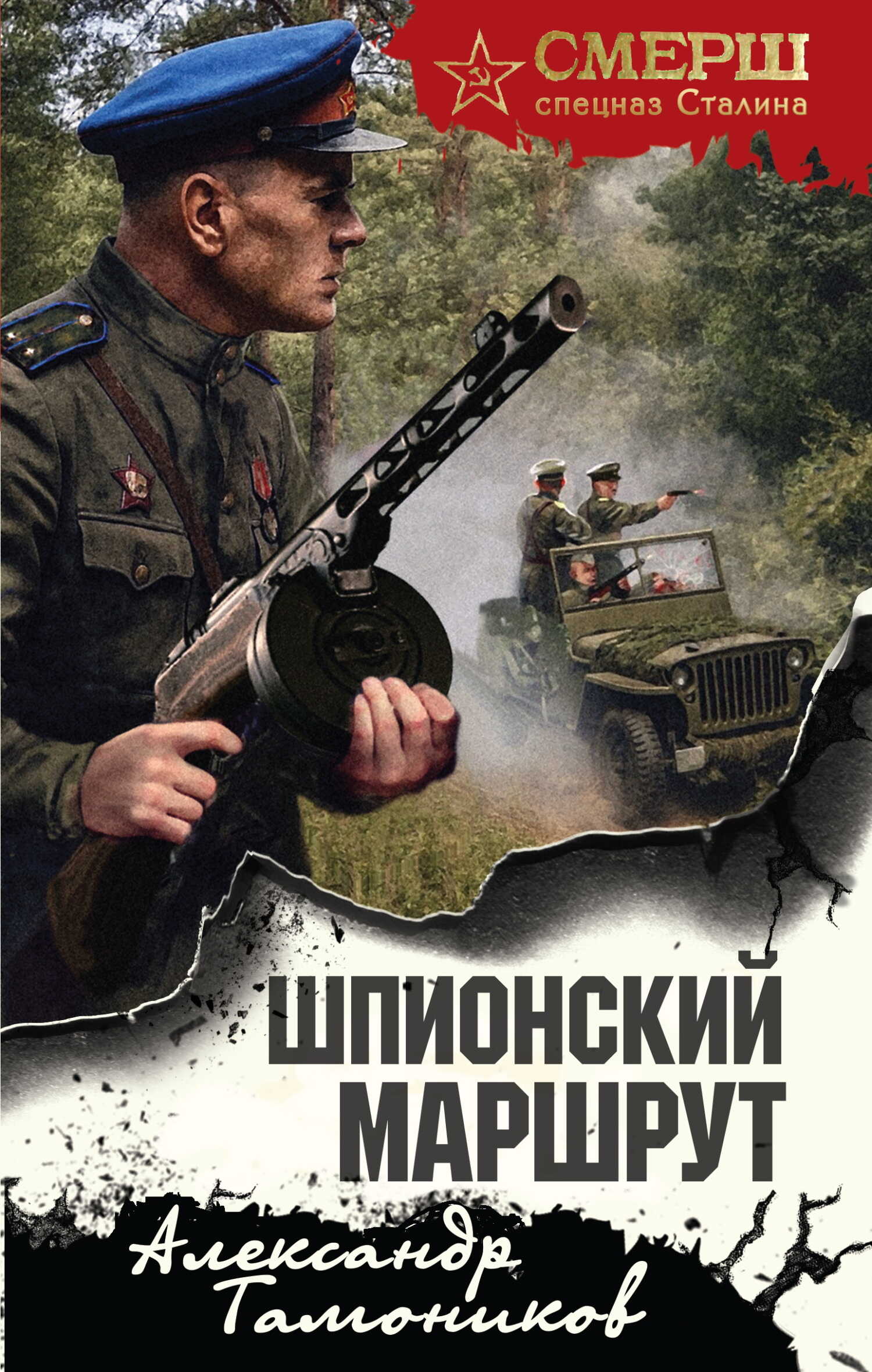 Шпионский маршрут - Александр Александрович Тамоников