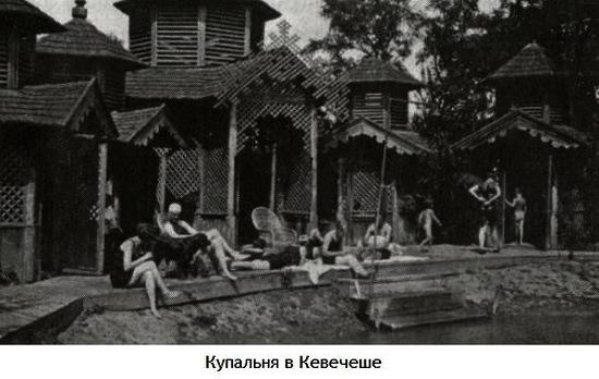Заяц с янтарными глазами