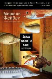 Дождь прольется вдруг и другие рассказы - Мишель Фейбер