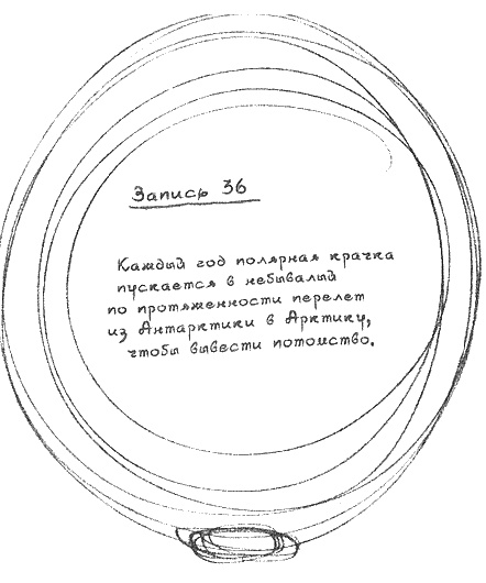 Квантовая теория любви
