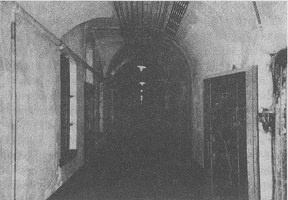 Аустерлиц