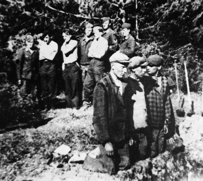 Нацисты. Предостережение истории Нацисты. Предостережение истории