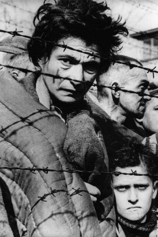 Нацисты. Предостережение истории Нацисты. Предостережение истории
