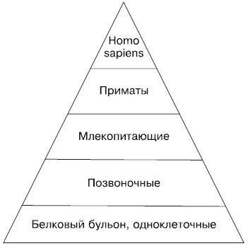 Будущее России. Алгоритм переворота