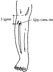 Большой атлас целительных точек. Китайская медицина на страже здоровья и долголетия Большой атлас целительных точек. Китайская медицина на страже здоровья и долголетия