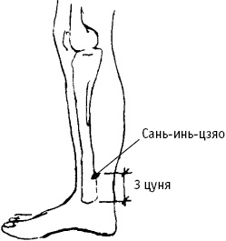 Большой атлас целительных точек. Китайская медицина на страже здоровья и долголетия Большой атлас целительных точек. Китайская медицина на страже здоровья и долголетия