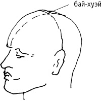 Большой атлас целительных точек. Китайская медицина на страже здоровья и долголетия Большой атлас целительных точек. Китайская медицина на страже здоровья и долголетия