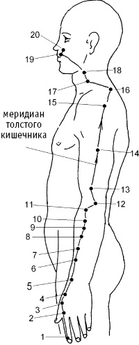 Большой атлас целительных точек. Китайская медицина на страже здоровья и долголетия Большой атлас целительных точек. Китайская медицина на страже здоровья и долголетия