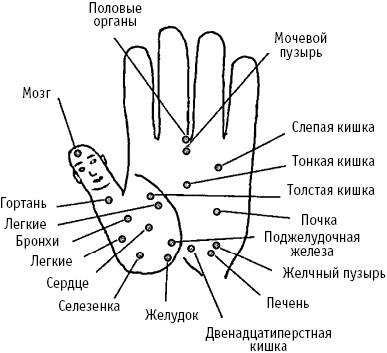 Большой атлас целительных точек. Китайская медицина на страже здоровья и долголетия Большой атлас целительных точек. Китайская медицина на страже здоровья и долголетия
