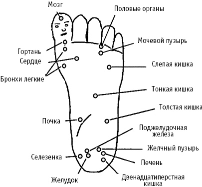 Большой атлас целительных точек. Китайская медицина на страже здоровья и долголетия Большой атлас целительных точек. Китайская медицина на страже здоровья и долголетия