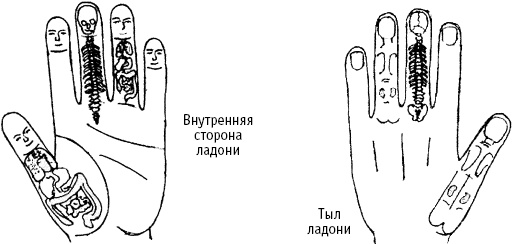 Большой атлас целительных точек. Китайская медицина на страже здоровья и долголетия Большой атлас целительных точек. Китайская медицина на страже здоровья и долголетия
