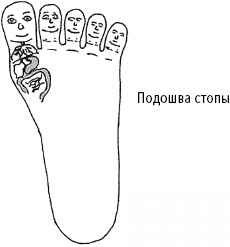Большой атлас целительных точек. Китайская медицина на страже здоровья и долголетия Большой атлас целительных точек. Китайская медицина на страже здоровья и долголетия